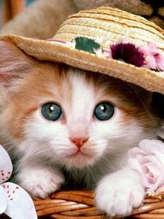 Other Wallpapers 0941